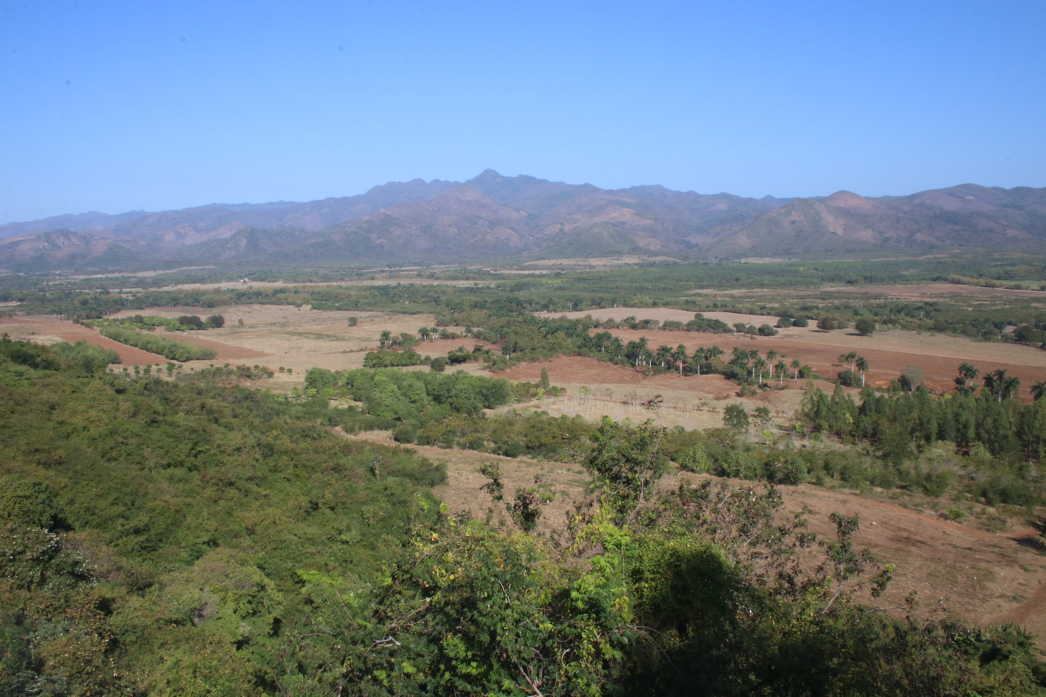 Valle de los Ingenios 14-2-20