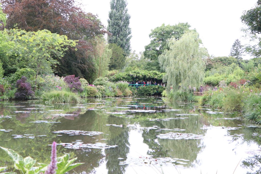Water Garden 30.7.25