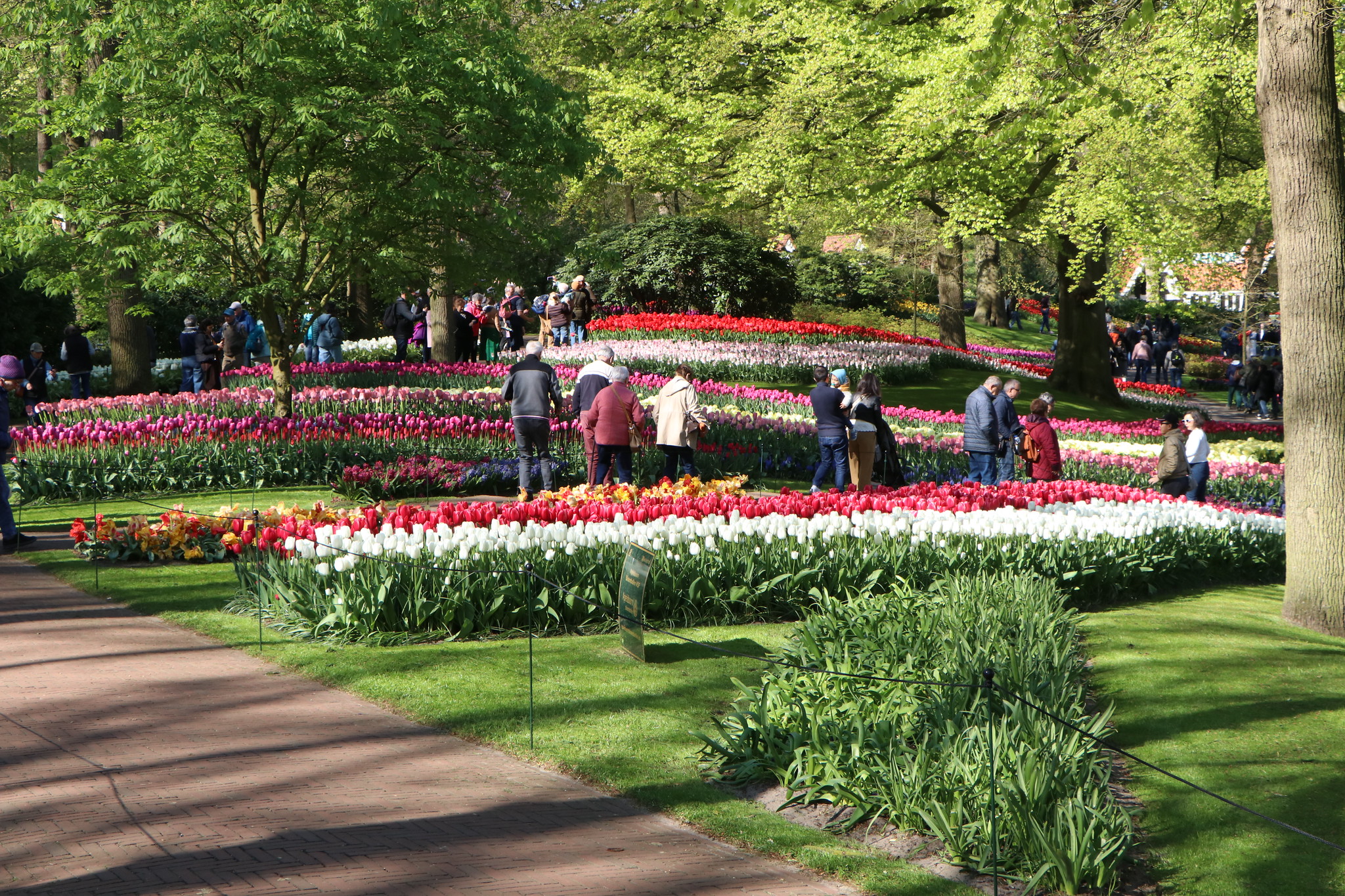 Colours Keukenhof 21.4.26